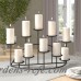 Darby Home Co Metal Ten Candle Candelabra Set DBHC6194